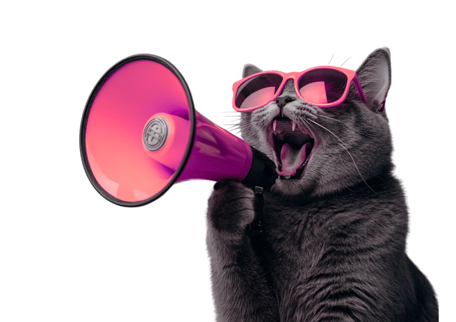 2_newsroom cat