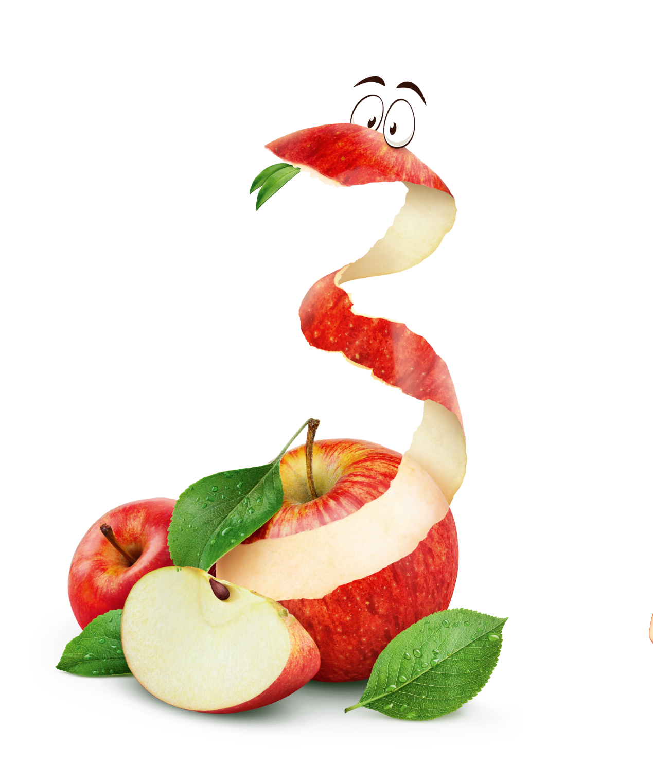 LAM-TeeFee_Zisch_Apfel-Assets-02