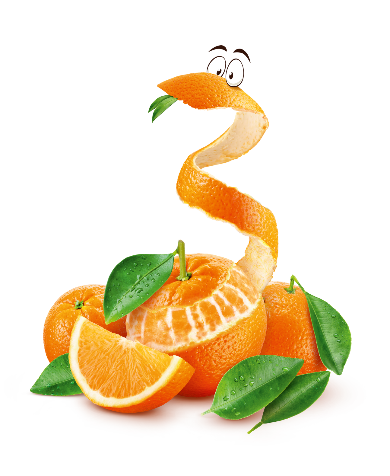LAM-TeeFee_Zisch_Orange-Assets--02