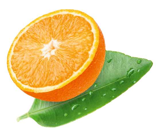 LAM-TeeFee_Zisch_Orange-Assets--03